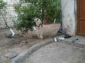 Продаётся  участок 4.5 сот, пос. 6-ой мкр, photo 2 from 8