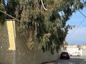 Продаётся  участок 20 сот, пос. Шувеляны, photo 3 from 4