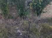 Elan №6049574 - Bakı, Pirallahı r., 10 sot