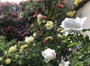 İcarəyə verilir 8 otaqlı həyət evi/bağ evi 750 m², Azadlıq Prospekti m., photo 5 from 8