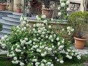 İcarəyə verilir 8 otaqlı həyət evi/bağ evi 750 m², Azadlıq Prospekti m., photo 3 from 8