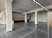 Сдаётся  объект 250 м², Сабаильский р., photo 4 from 8