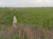 Elan №6050076 - Kürdəmir, Kürdəmir, 351 sot