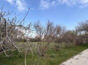 Satılır  torpaq 21.5 sot, Sea Breeze q., photo 4 from 8