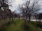 Satılır  torpaq 21.5 sot, Sea Breeze q., photo 8 from 8