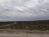 Elan №6050762 - Şabran, Şabran, 2000 sot