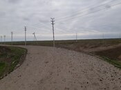 Elan №6050881 - Şabran, Şabran, 80 sot