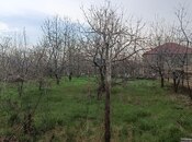 Elan №6051601 - Quba, Quba, 8 sot