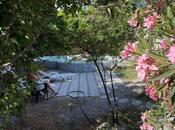 Satılır 10 otaqlı həyət evi/bağ evi 402 m², Keşlə q., photo 7 from 8