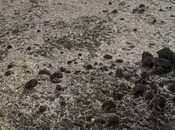 Объявление №6051865 - Шемаха, Шемаха, 7378 сот