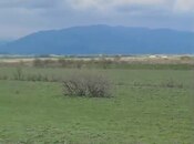 Объявление №6051935 - Ахсу, Ахсу, 20000 сот