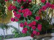 Elan №6052012 - Bakı, Sabunçu q., 3 otaqlı, 140 m²