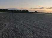 Объявление №6052883 - Хачмаз, Хачмаз, 177 сот