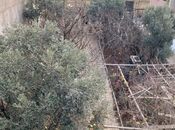 Satılır  torpaq 6 sot, Badamdar q., photo 2 from 3