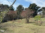 Объявление №6053995 - Баку, пос. Горадил, 4 сот