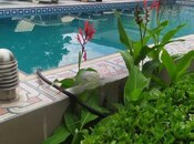 Сдаётся 6-комн. дом/дача 320 м², пос. Новханы, photo 1 from 8