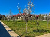 Satılır 9 otaqlı həyət evi/bağ evi 2 000 m², Şüvəlan q., photo 7 from 8