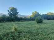 Объявление №6054526 - Габала, Габала, 50 сот