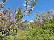 Elan №5978250 - Bakı, Bülbülə q., 10 otaqlı, 408 m²