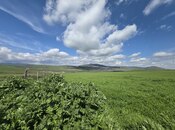 Объявление №6055426 - Шемаха, Шемаха, 350 сот