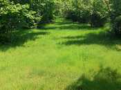 Объявление №6055482 - Габала, Габала, 30 сот