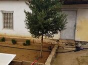 Satılır  torpaq 16 sot, Şüvəlan q., photo 3 from 4