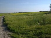 Объявление №6055660 - Хачмаз, Хачмаз, 20000 сот