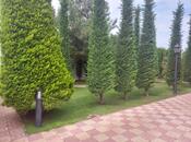 İcarəyə verilir 8 otaqlı həyət evi/bağ evi 150 m², Novxanı q., photo 6 from 8