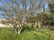 Продаётся  участок 12.5 сот, пос. Sea Breeze, photo 6 from 8