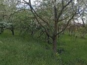 Elan №6056643 - Bərdə, Bərdə, 14 sot