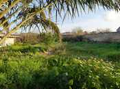 Elan №6056632 - Bakı, Maştağa q., 8 sot