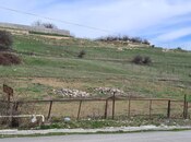 Elan №6056958 - Şamaxı, Şamaxı, 24 sot