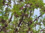 Продаётся  участок 800 сот, photo 4 from 8