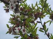 Продаётся  участок 800 сот, photo 6 from 8