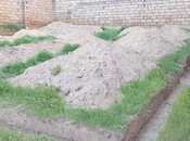 Объявление №6056724 - Баку, пос. Сарай, 3.2 сот