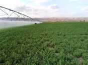 Объявление №6056921 - Ахсу, Ахсу, 31000 сот