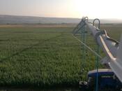 Satılır  torpaq 31 000 sot, photo 5 from 8