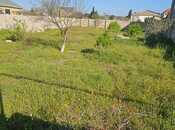 Elan №6056960 - Bakı, Albalılıq q., 9 sot