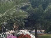 Сдаётся 5-комн. дом/дача 250 м², Хазарский р., photo 6 from 8