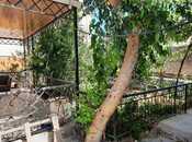 Elan №6057008 - Bakı, Mərdəkan q., 4 otaqlı, 200 m²