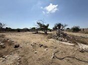 Elan №6057293 - Bakı, Qala q., 4 sot