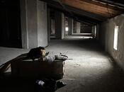 Продаётся  объект 700 м², photo 2 from 8