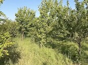 Объявление №6057635 - Барда, Барда, 40 сот