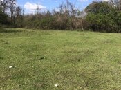 Объявление №6057606 - Габала, Габала, 30 сот