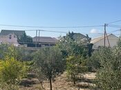 Объявление №6057785 - Баку, пос. Говсан, 5.5 сот