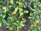 Продаётся 6-комн. дом/дача 210 м², пос. Новханы, photo 2 from 8