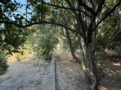 Продаётся 6-комн. дом/дача 210 м², пос. Новханы, photo 6 from 8