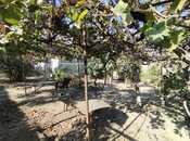 Satılır 7 otaqlı həyət evi/bağ evi 220 m², Sulutəpə q., photo 4 from 8