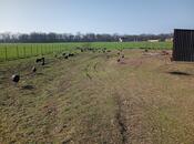 Продаётся  участок 1 000 сот, Низаминский  р., photo 4 from 4