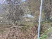 Объявление №6058772 - Габала, Габала, 13 сот